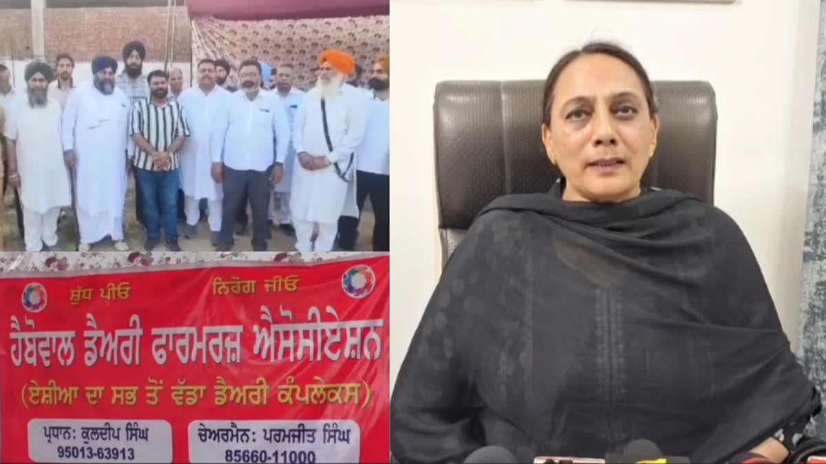 FARMERS INVOLVED IN MILK BUSINESS