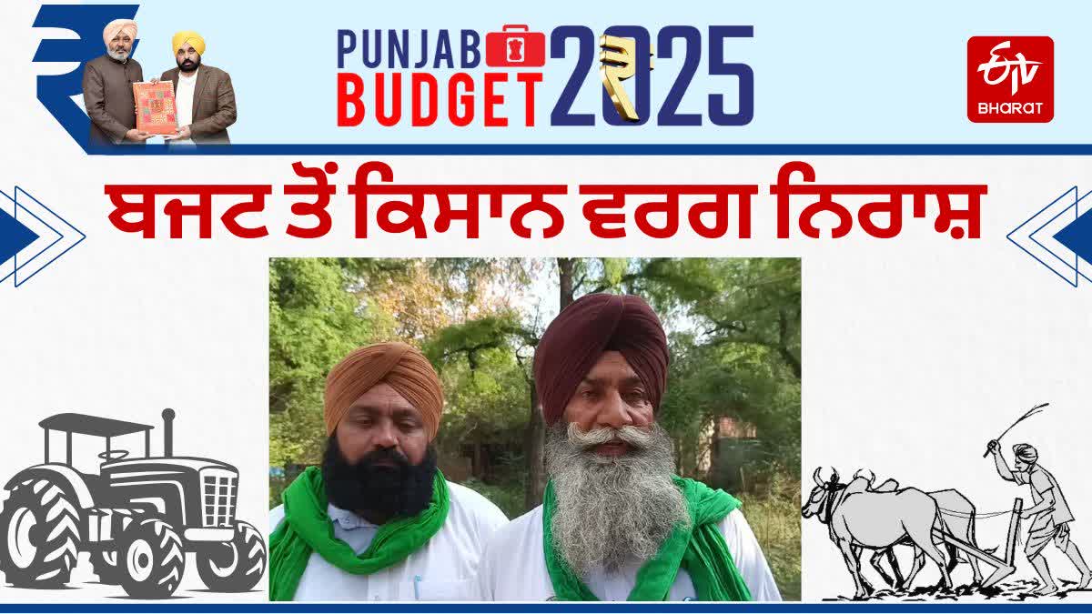 PUNJAB BUDGET 2025
