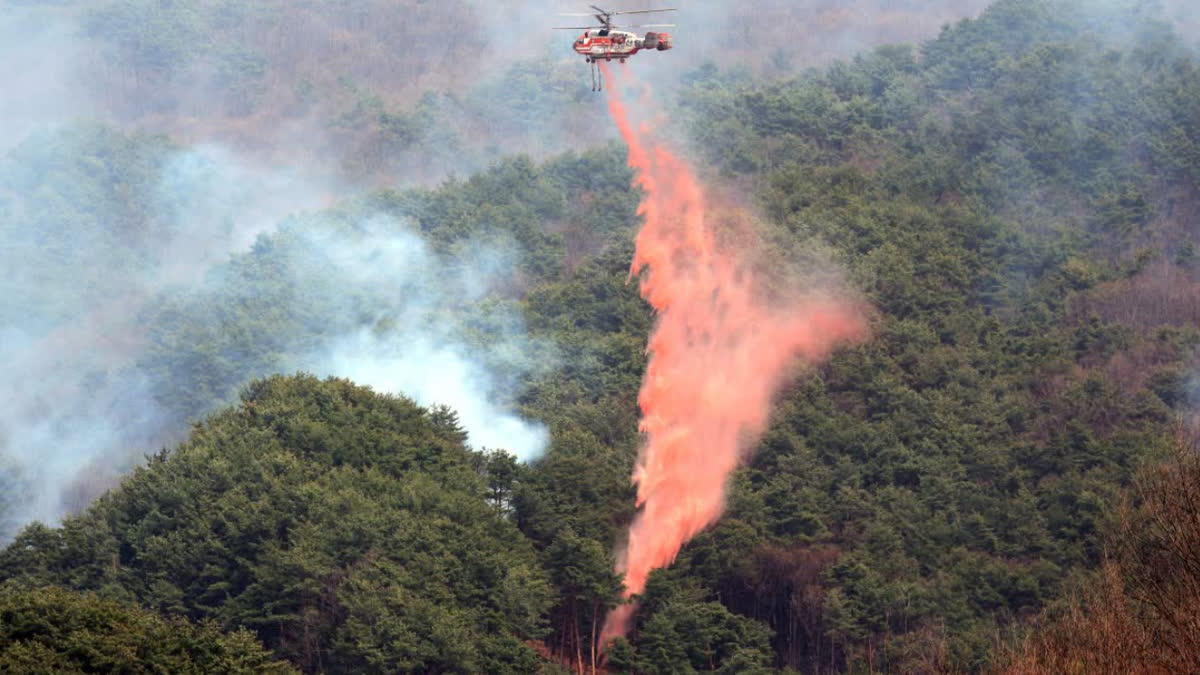 fire wreaks havoc in South Korea