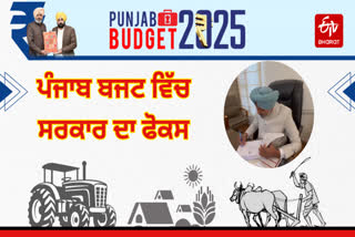 Punjab Budget 2025 2026