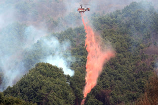 A Korea Forest Service helicopter dumps fire retardant on a wildfire in Sancheong, South Korea, Tuesday, March 25, 2025.