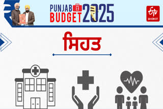 Punjab Health Budget