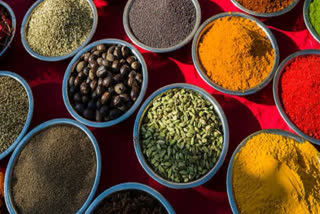 Consuming these 10 spices present in the kitchen can be beneficial in the deadly disease cancer, NFCR claims