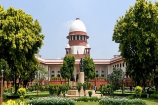 SC On Allahabad HC Order