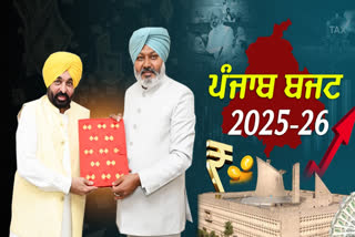 Punjab Budget Highlights