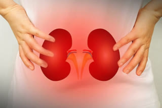 KIDNEY FAILURE SYMPTOMS  WARNING SIGNS OF KIDNEY DISEASE  SYMPTOMS OF KIDNEY DISEASE