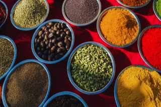 CANCER FIGHTING HERBS AND SPICES