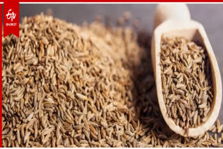 cumin stolen in Jamnagar