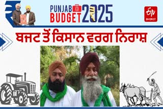 PUNJAB BUDGET 2025