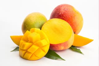 NUTRITIONAL BENEFITS OF MANGOES  HEALTH BENEFITS OF MANGOES  HEALTH BENEFITS AAMBA