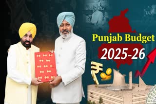 Punjab's Rs 2.36 Lakh Crore Budget: Aims For 'Changing Punjab' With Focus On Economic Growth And Development