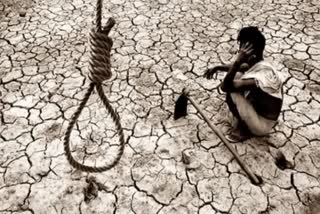 21 thousand 286 farmers committed suicide in Amravati in last 24 years