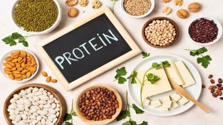 protein