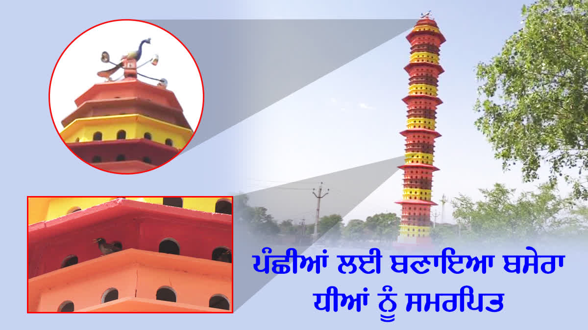 Tower For Birds Nests In Bathinda