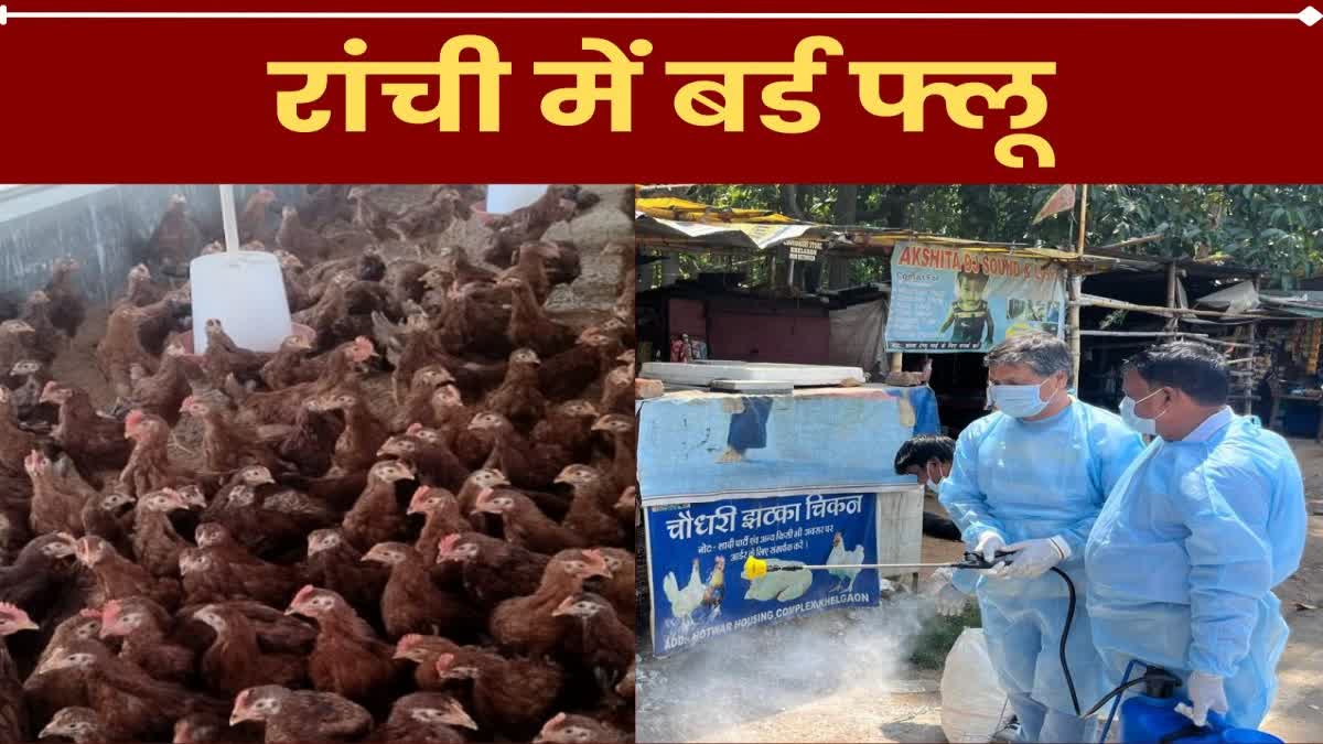 Delhi Central Investigation Team meeting with health officials on bird flu in Ranchi