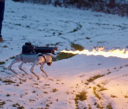 Robot dog Thermator