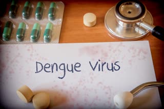 Dengue News