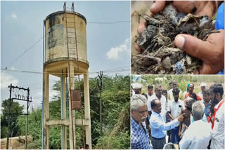 Cow dung found drinking water tank