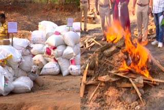 Ganja Burnt in Nalgonda District