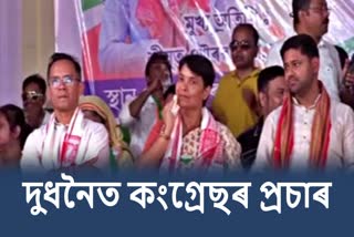 Gaurav Gogoi slams Assam CM