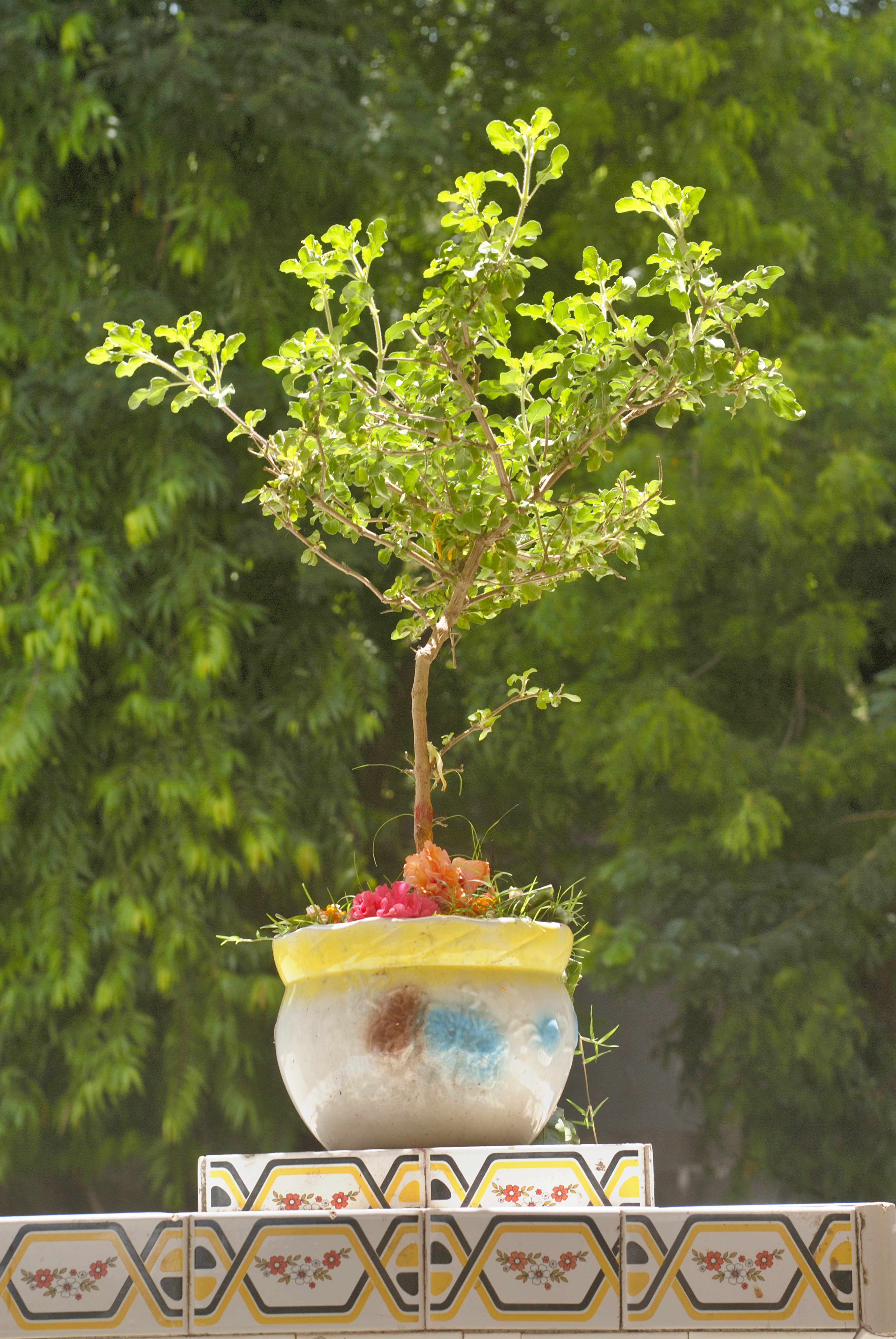 chaitra_amavasya_2025