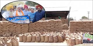 REVIEW WHEAT PROCUREMENT TAKEN