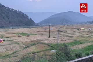 UTTARAKHAND WEATHER NEWS