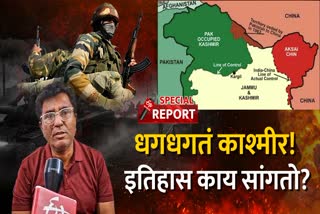 Pakistan Terrorism Effect India