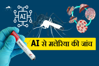 Malaria Test With AI at Chandigarh