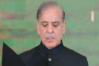 Pakistan PM Shehbaz Sharif reaction on Pahalgam Terror Attack