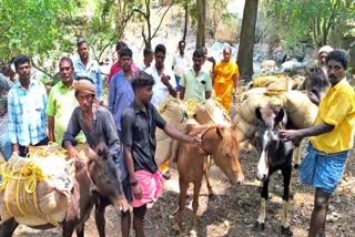 குதிரைகள் மூலம் ரேசன் பொருள்கள் மலை கிராமத்திற்கு கொண்டு செல்லுதல்