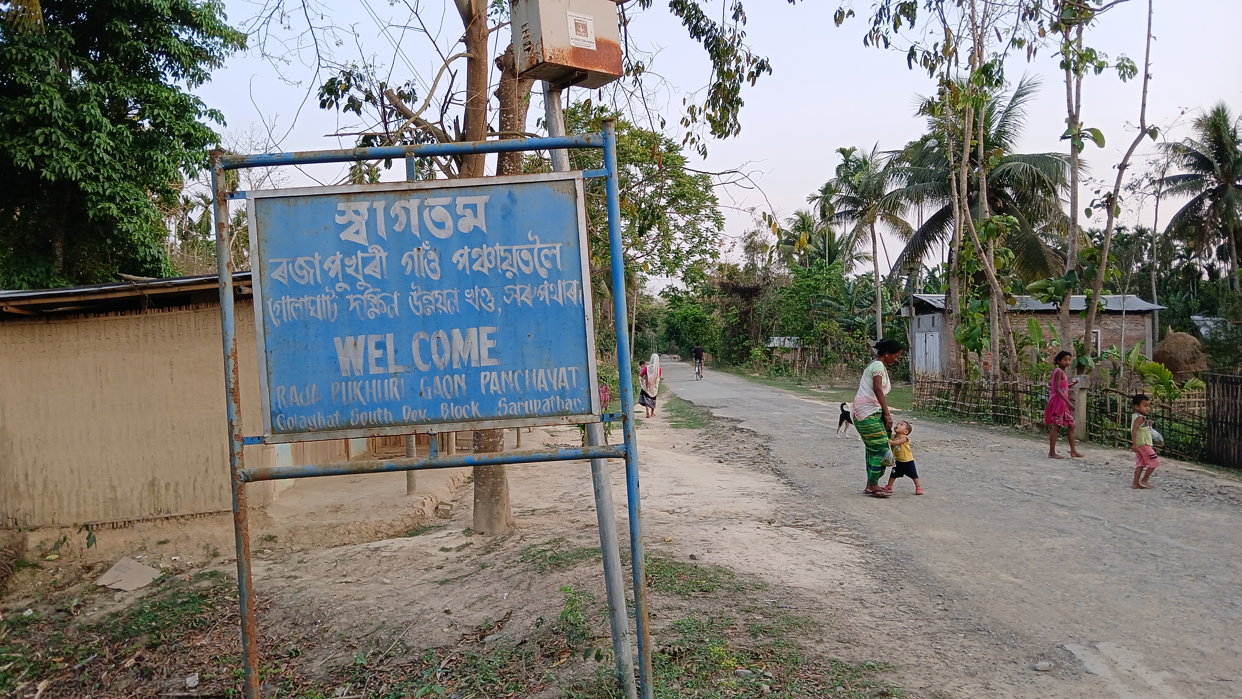 Panchayat Elections 2025