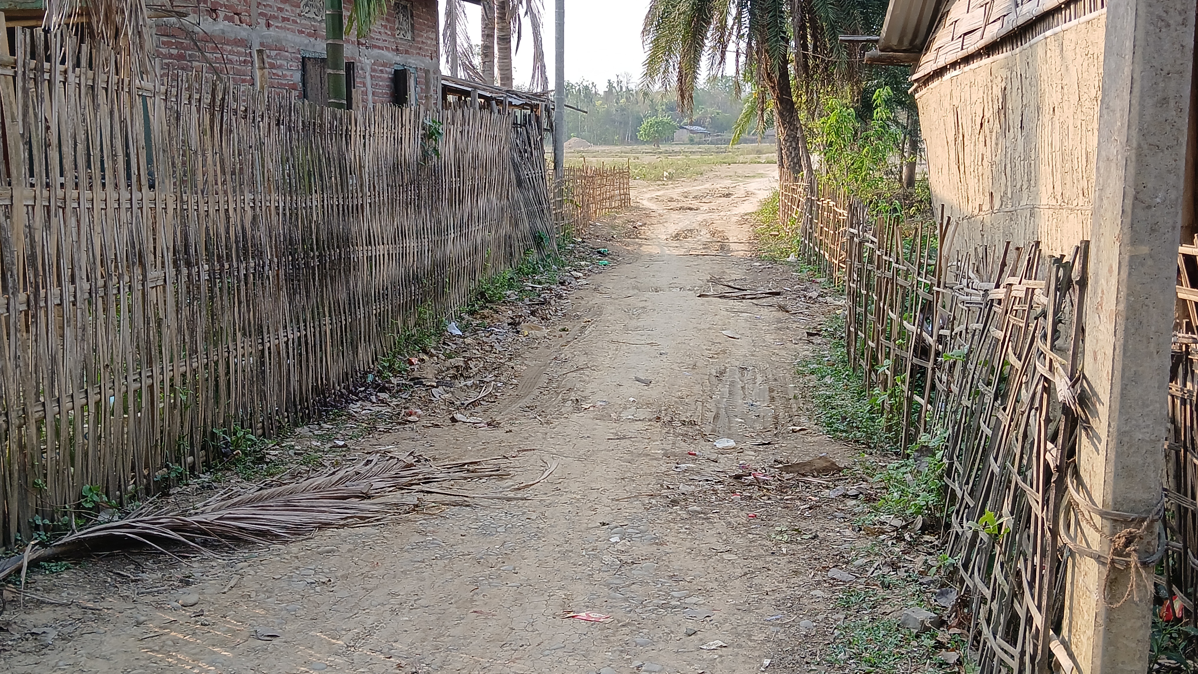 Panchayat Elections 2025