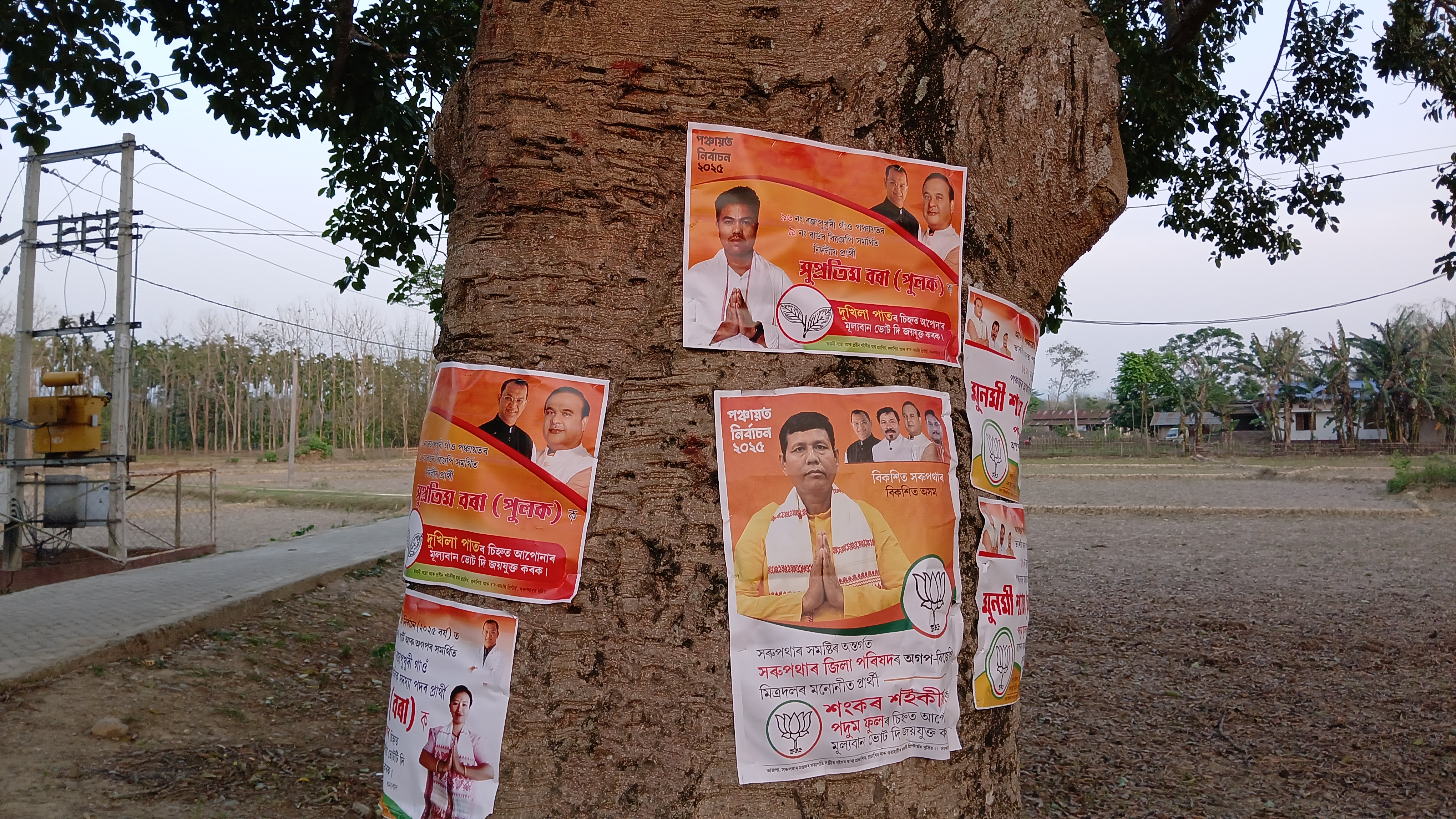 Panchayat Elections 2025
