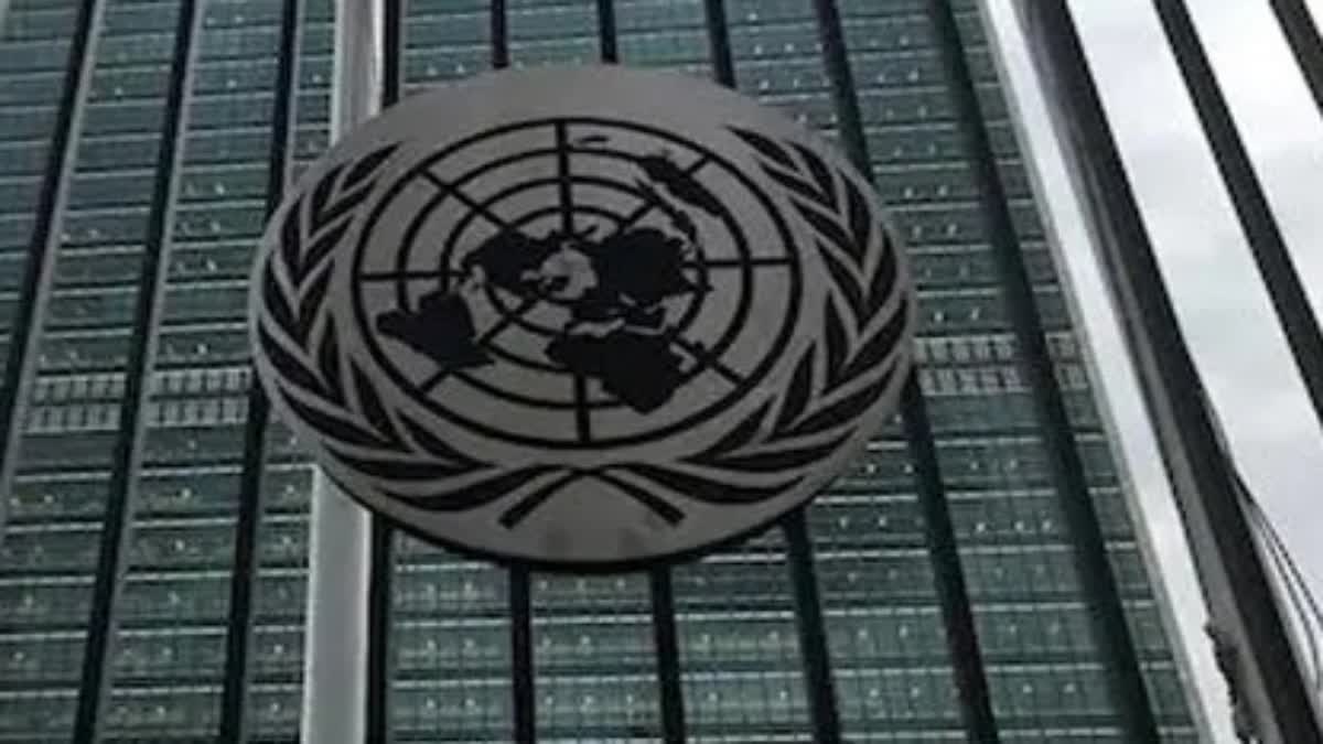 United Nation