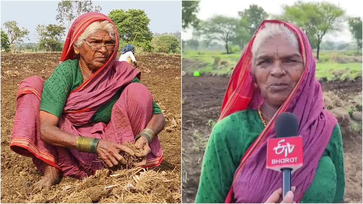 GRANDMOTHER  WORK IN THE FIELD  BELAGAVI