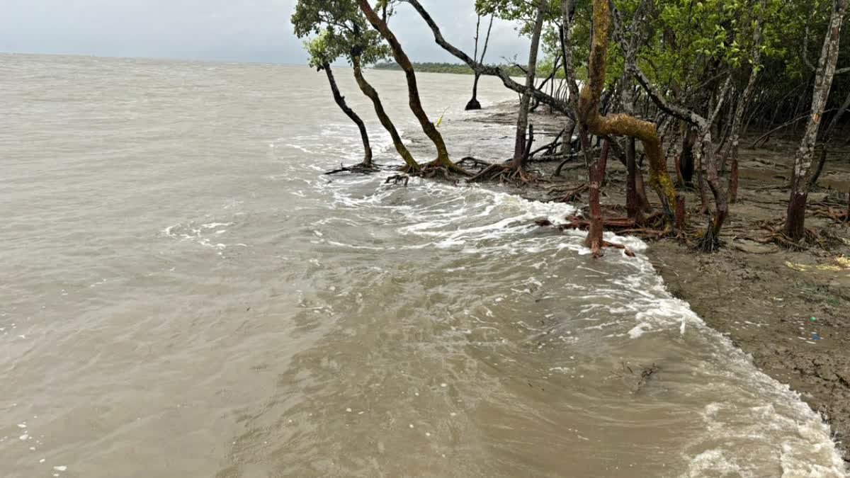 CYCLONE REMAL FORECAST