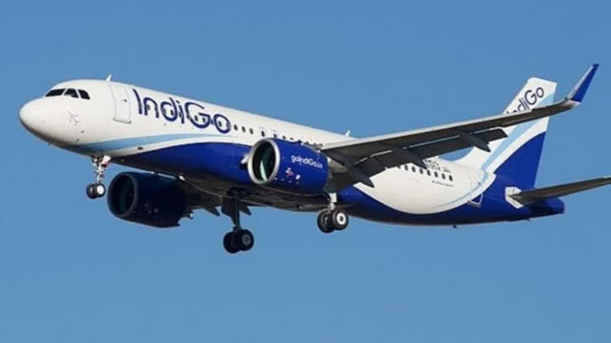 MAN OPEN INDIGO DOOR IN MID AIR