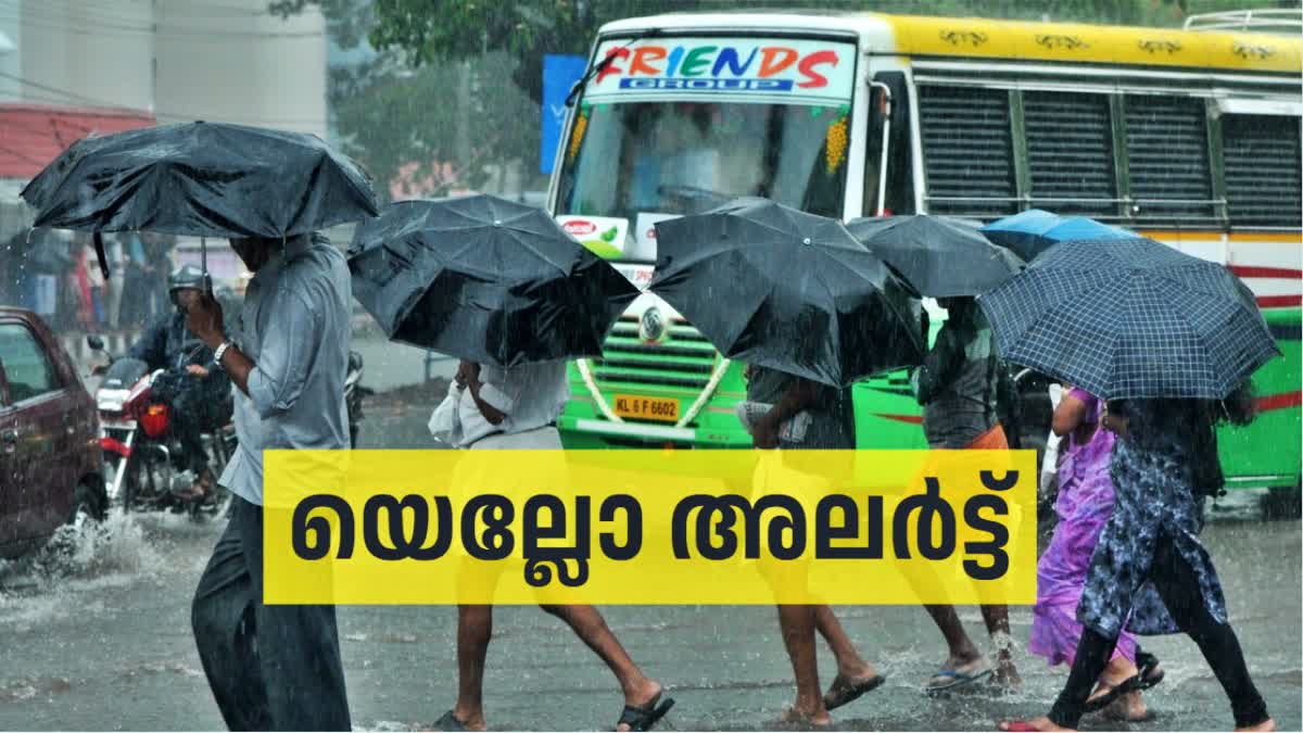 YELLOW ALERT IN KERALA  RAIN ALERT IN KERALA  കേരളത്തിൽ മഴ മുന്നറിയിപ്പ്  കേരളത്തിൽ യെല്ലോ അലർട്ട്