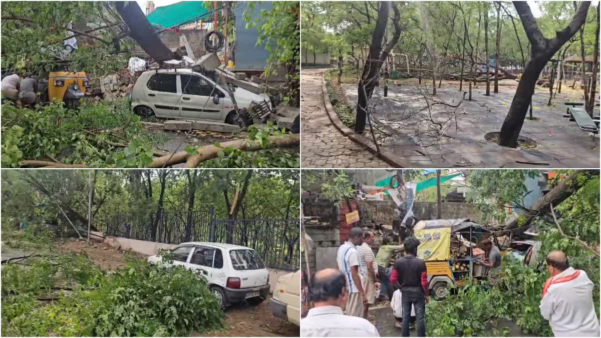 LIGHT AND HEAVY RAIN  THUNDERSTORM  TREES FELL ON ROAD  TWO PEOPLE DIED