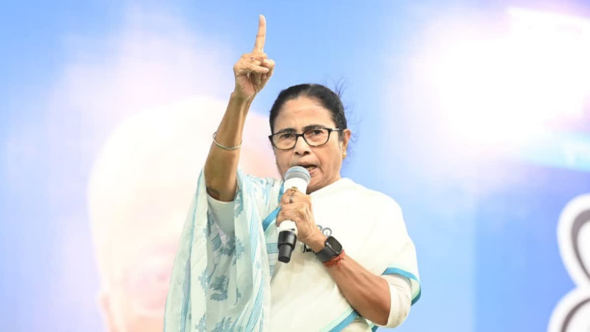 Mamata Banerjee Campaigns