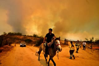 CHILE ACCUSES VOLUNTEER FIREFIGHTER  CHILE FOREST FIRE  ചിലിയിലെ കാട്ടുതീ  ചിലി അഗ്നി ശമന സേനാംഗം വനപാലകന്‍