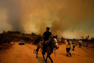 forest fire in Vina del Mar, Chile