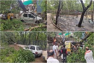 LIGHT AND HEAVY RAIN  THUNDERSTORM  TREES FELL ON ROAD  TWO PEOPLE DIED