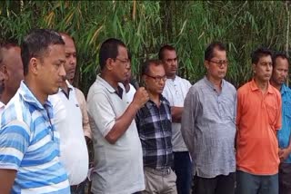 Small tea growers Assam