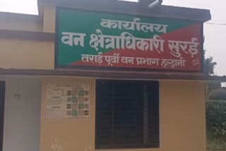 Haldwani Forest Department