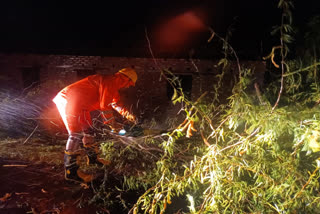 Rampage of Severe Cyclonic Storm Remal