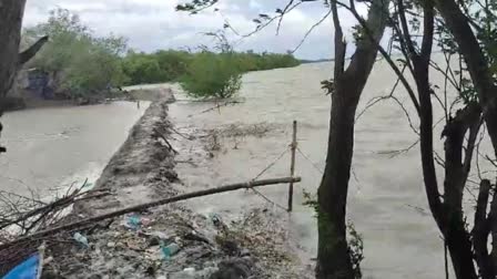 Hingalganj Crack on River Dam