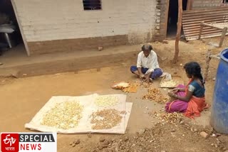 In Melghat, there are currently door-to-door see mahua fruit as gulli