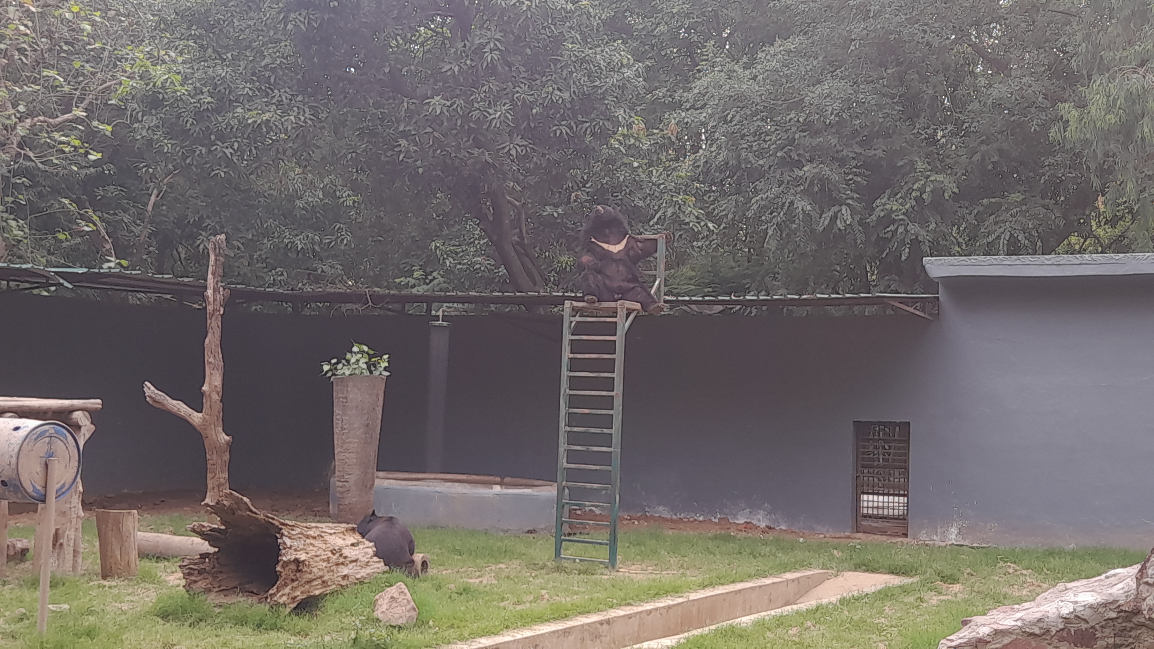 Special arrangements made in Patna Zoo